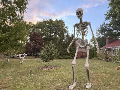 The rise of the 12-foot Halloween skeleton The rise of the 12-foot Halloween skeleton