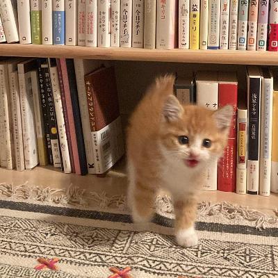 #1370 まちの本屋とは？② from Radiotalk