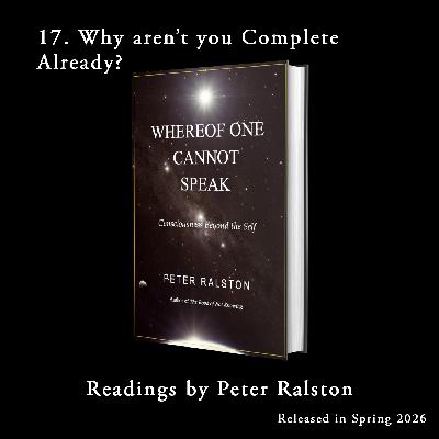 17. Why aren't you Complete already? - Whereof One Cannot Speak - Readings By Peter Ralston