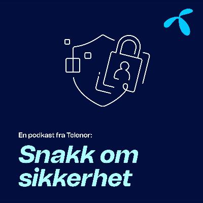 #22: God dekning og samfunnssikkerhet