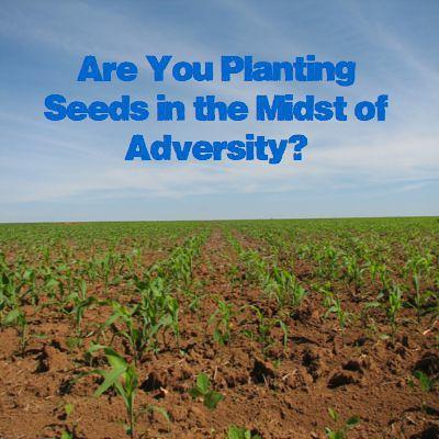 Are You Planting Seeds In the Midst of Adversity? Are You Planting Seeds In the Midst of Adversity?