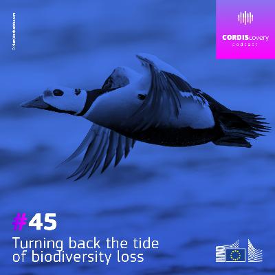 Turning back the tide of biodiversity loss