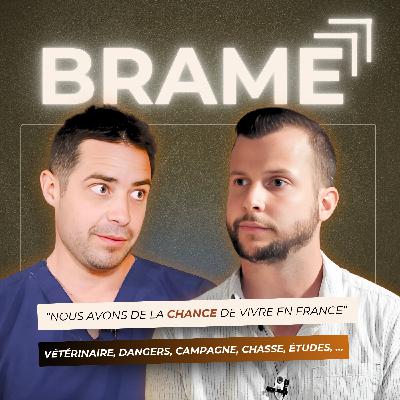 VÉTÉRINAIRE : ÉTUDES, DANGERS, URGENCES, ANECDOTES. VÉTÉRINAIRE : ÉTUDES, DANGERS, URGENCES, ANECDOTES.