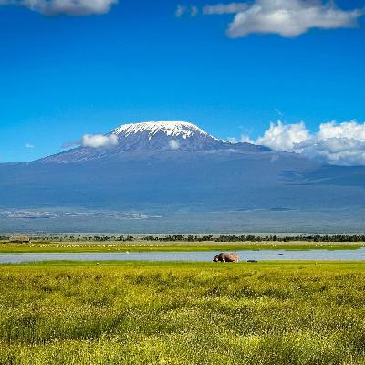 Tanzanie