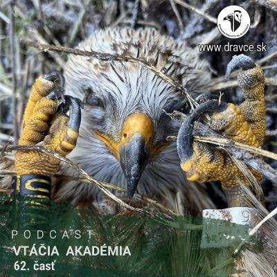 Dnes na vážnu tému - vtáčia kriminalita Dnes na vážnu tému - vtáčia kriminalita