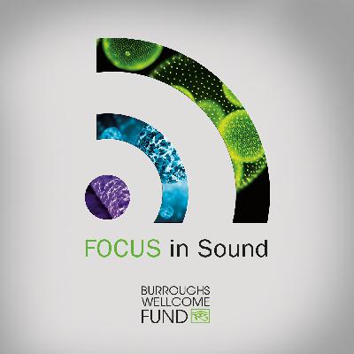 FOCUS In Sound #37: Jennifer Brophy FOCUS In Sound #37: Jennifer Brophy
