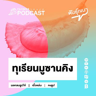 ทุเรียนมูซานคิง 【พันธุ์ณนา】 ทุเรียนมูซานคิง 【พันธุ์ณนา】