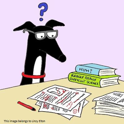 Straight from the horse's mouth: how to read (and hopefully understand) a scientific research paper