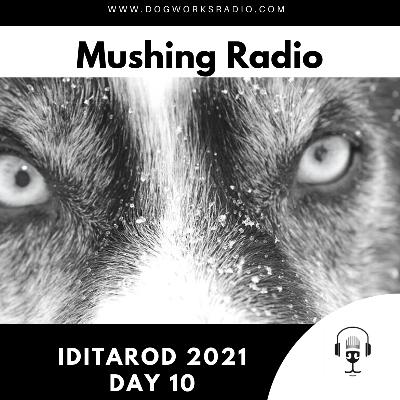 Iditarod 2021 Daily Coverage | Day 10