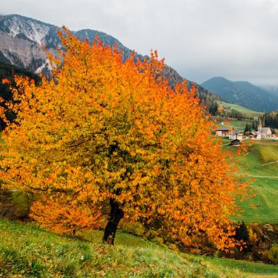 Martedì della XXXII° settimana TO Martedì della XXXII° settimana TO