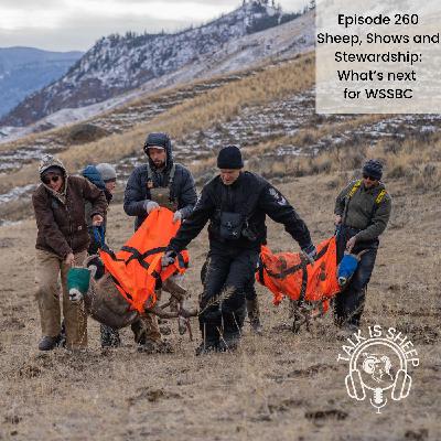 Sheep, Shows & Stewardship: What’s Next for WSSBC Sheep, Shows & Stewardship: What’s Next for WSSBC