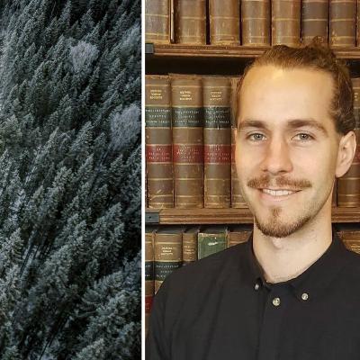 Lobbyism genomsyrar svensk skogspolitik – forskaren: ”Sverige sticker ut”