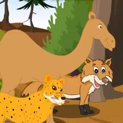 मूर्ख ऊंट मूर्ख ऊंट