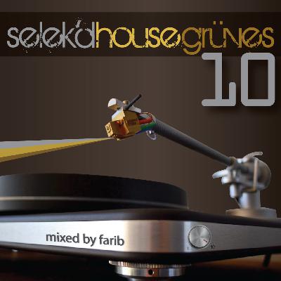 selek'd house grüves vol 10 selek'd house grüves vol 10