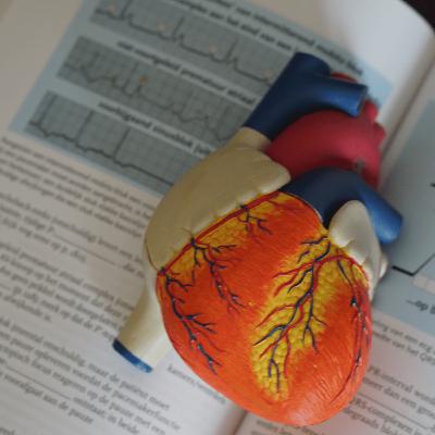 Sistema Cardiovascular