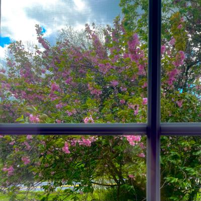 Independent Nonfiction Novel Podcast