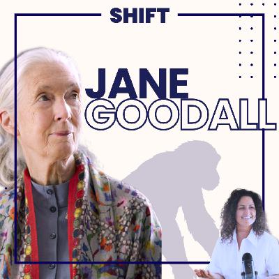 [STORY] Jane Goodall - De rêve d'enfant à icône de la protection animale