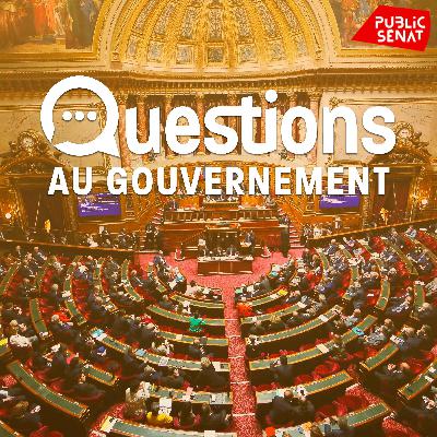Questions au gouvernement du 14 janvier