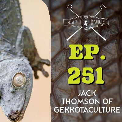 Jack Thomson of Gekkotaculture | Snakes & Stogies Ep. 251