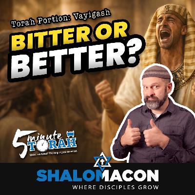 5 Minute Torah - Vayigash - Bitter or Better?