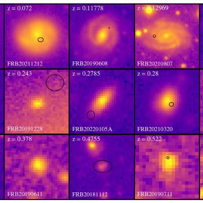 Beyond the Burst: How Host Galaxies Shape Fast Radio Bursts