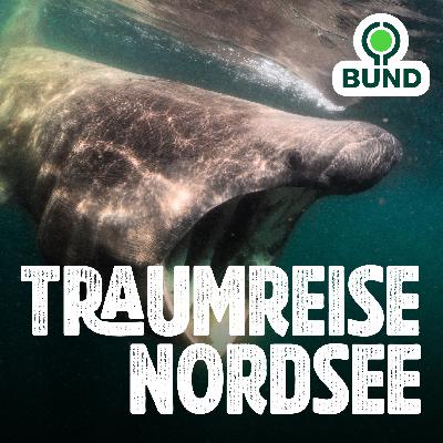 Kapitel 4 l Die Doggerbank Kapitel 4 l Die Doggerbank