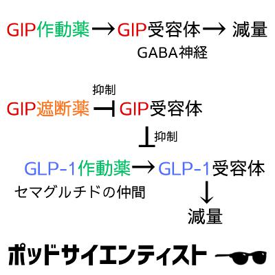 S3E16　肥満治療薬をめぐるパラドックス