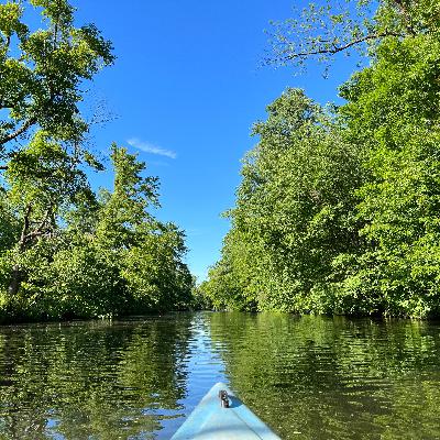 23 -《悉达多》| 在沉沦与觉醒的河流中，终将成为自己的摆渡人