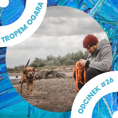 #26 Smycz - wróg czy sprzymierzeniec?