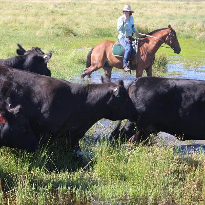 Episode 26: Garry and Leanne Hall - living and thriving in the wetlands and the dry.