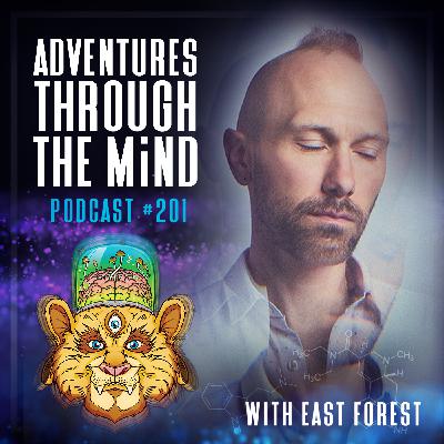 Music for Mushrooms (and the Nearly-Lost Art of Being Moved by Music) | East Forest ~ 201