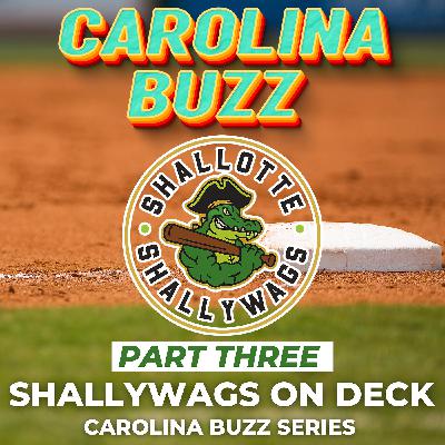 Shallywags On Deck Part 3: Baseball and Tech Helping Players and Families