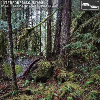 Interrorem Soundwalk Interrorem Soundwalk