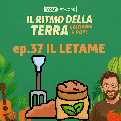 IL LETAME - il ritmo della terra - coltivare è pop! ep 37 IL LETAME - il ritmo della terra - coltivare è pop! ep 37
