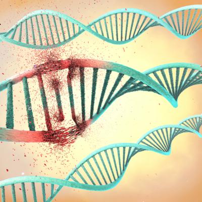 48. rész: Genetika II., poligénes öröklődés 48. rész: Genetika II., poligénes öröklődés