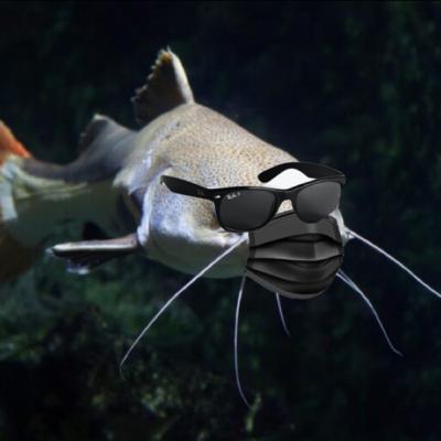 Mask-Fishing Mask-Fishing