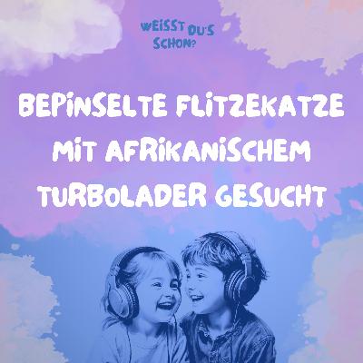Sprintweltmeister