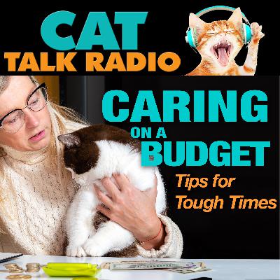 Caring for Cats on a Budget