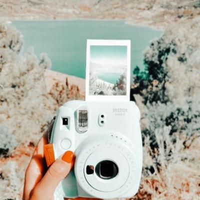 Wie sind meine Kaninchen?