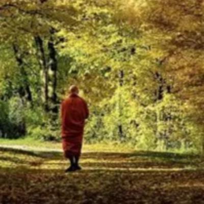 הפרקטיקה הבודהיסטית - חלק א הפרקטיקה הבודהיסטית - חלק א