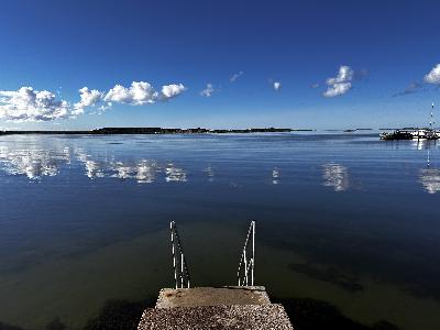 432. Över trädens kronor