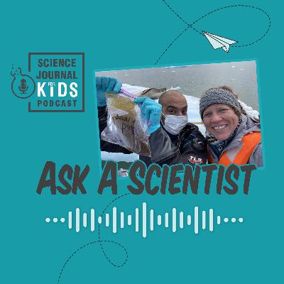 Ask-a-Scientist E7: Dr. Sarah Kienle, leopard seals researcher