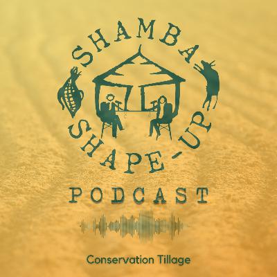 Farming Smarter, Not Harder: The Benefits of Conservation Tillage