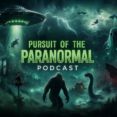 A Year in Review: Paranormal Highlights and Future Aspirations A Year in Review: Paranormal Highlights and Future Aspirations