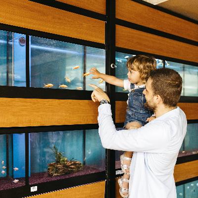 Haustiere für Kinder: Wie finden Familie das passende Tier?