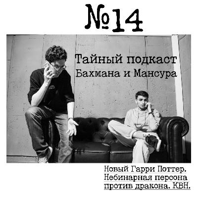 №14 - (feat Евгений Шекляев) Новый Гарри Поттер. Небинарная персона против дракона. КВН. №14 - (feat Евгений Шекляев) Новый Гарри Поттер. Небинарная персона против дракона. КВН.