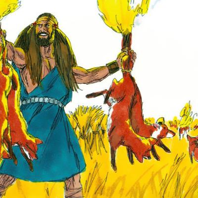 (普、简) 天天「灵」 听👂🏻🕊 2025年11月7日(五) ✨士师记 15:1-20 私怨升级，激烈复仇✨