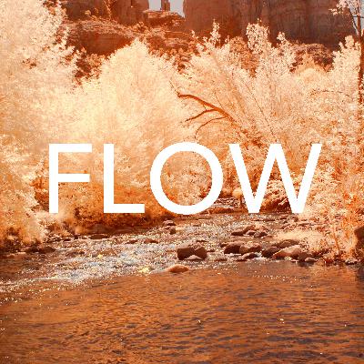 Episode 9: Flow