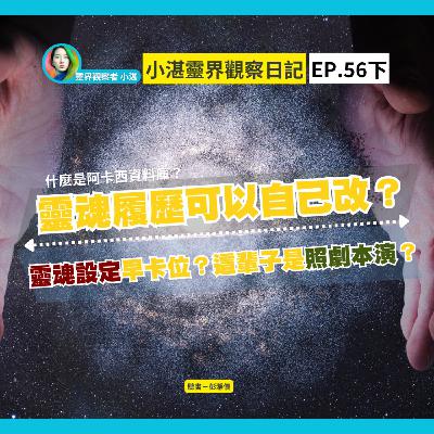 甚麼是阿卡西資料庫？｜靈魂履歷可以自己改？靈魂設定早卡位？這輩子是照劇本演？　靈界觀察者小湛 Azure Mulo x 主持人彭瀞儀｜小湛靈界觀察日記 EP56 下