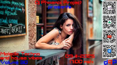 Dj Phoenix Project - [MT&HV30]Melodic Techno&House Vibes vol.30